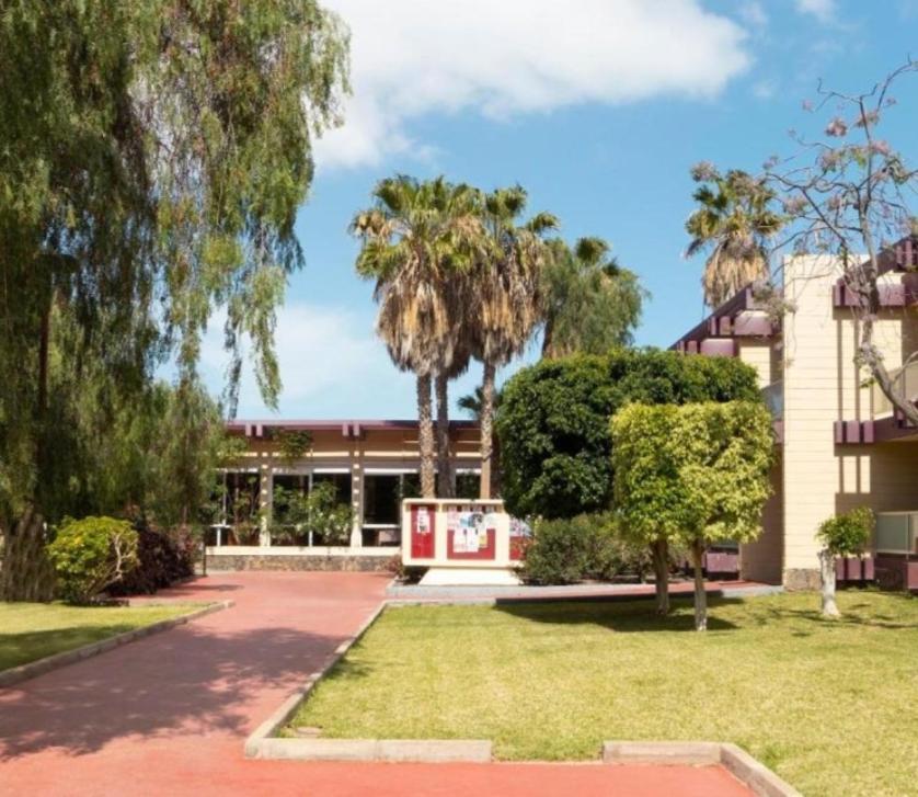 Ferienwohnung Galeria De Arte. Arona  Exterior foto